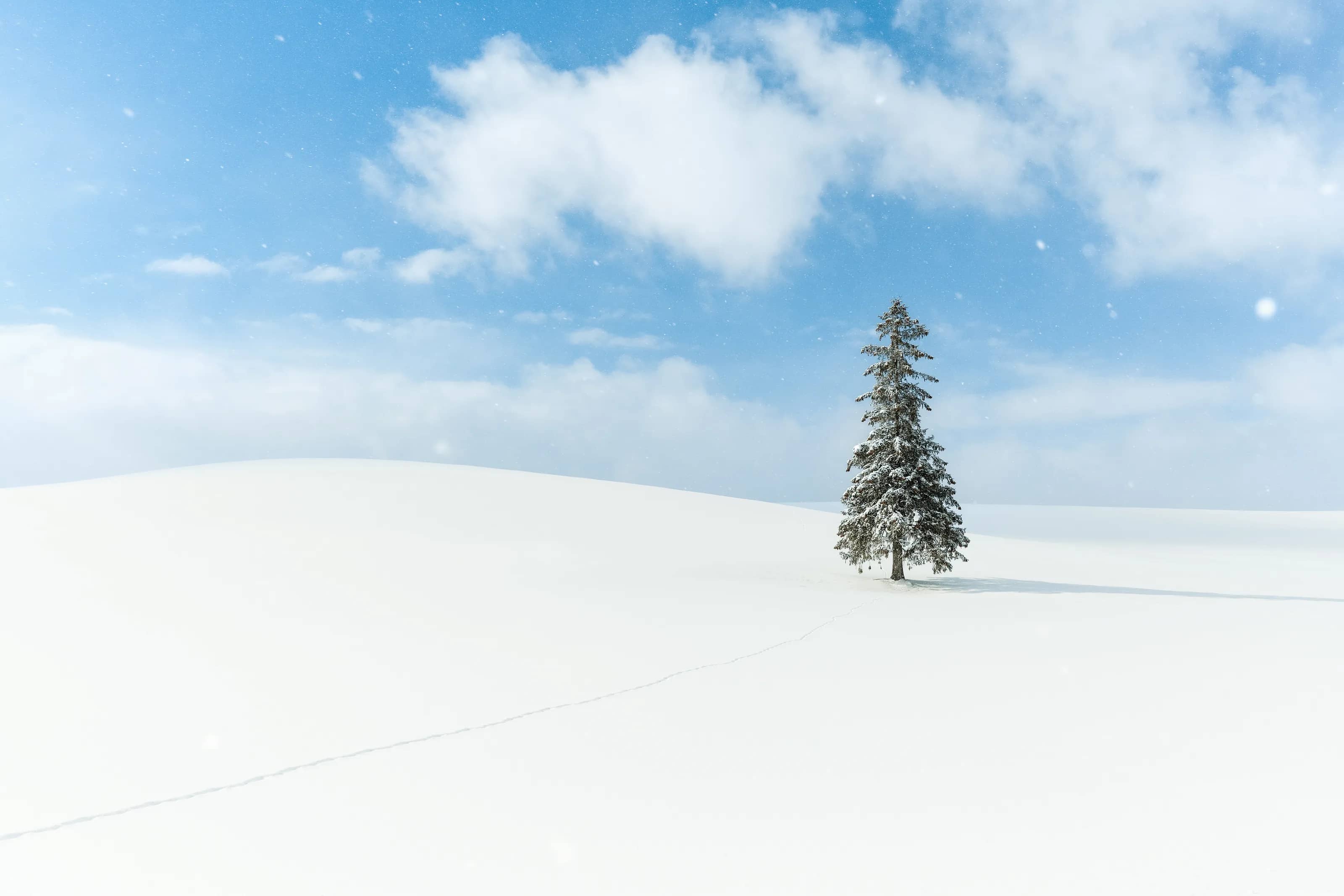Winter season