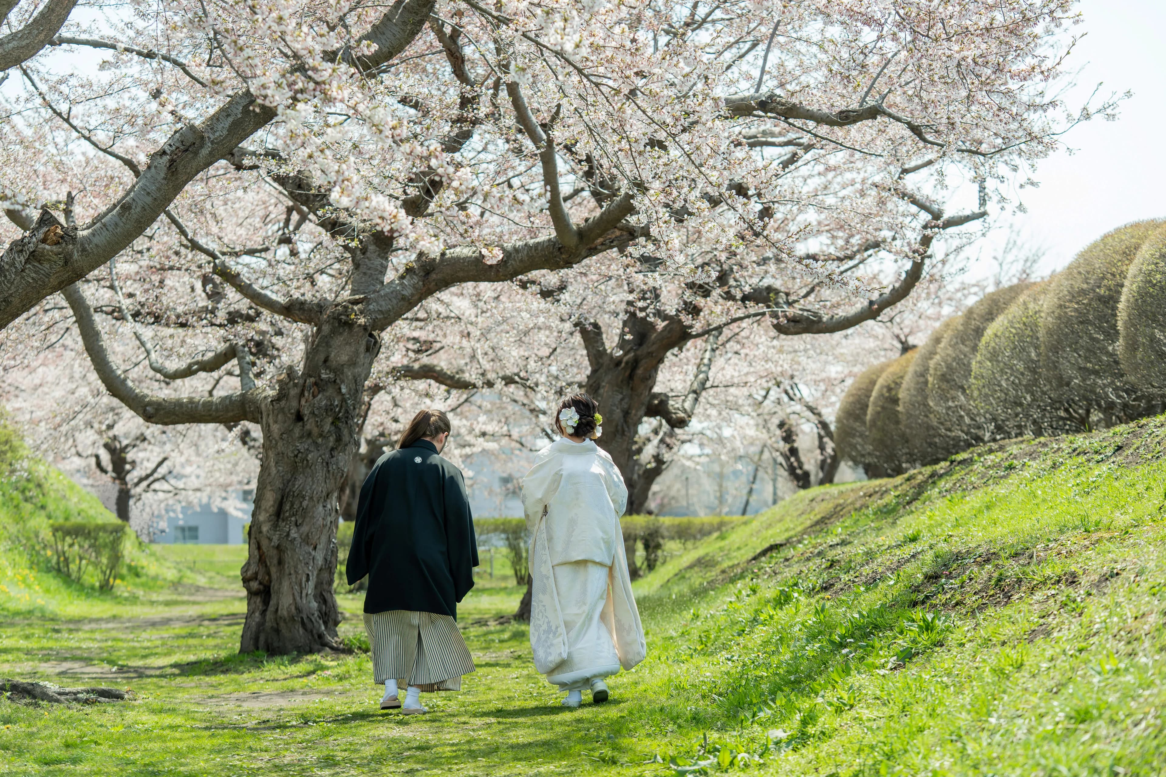FURANO / BIEI